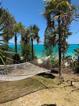 sandy toes, bahamas|SANDY TOES (Nassau): All You Need to Know BEFORE You Go